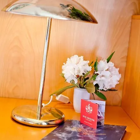 فندق Altstadthotel باد جريسباخ