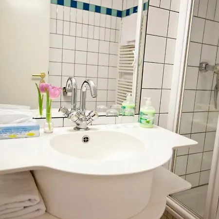Altstadthotel 3* باد جريسباخ