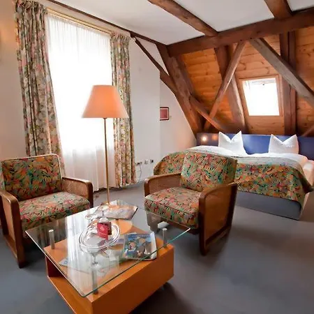 Altstadthotel 3* باد جريسباخ