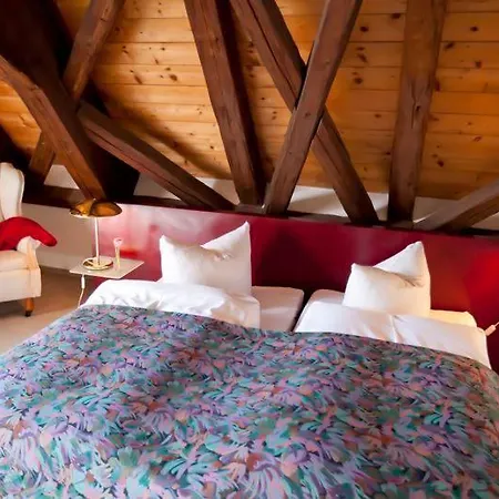 فندق Altstadthotel 3*